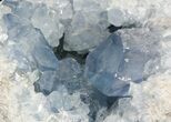 Celestine (Celestite) Crystal Geode - Madagascar #52890-2